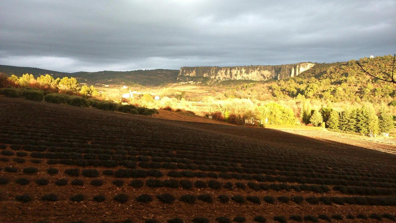 Les Vallons Holiday Home Lioux Eksteriør billede